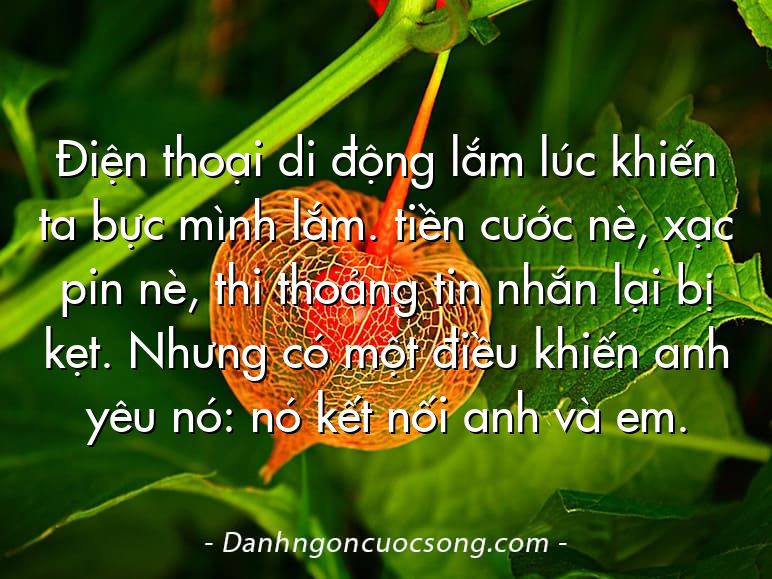 Điện thoại di động lắm lúc khiến ta bực mình lắm. tiền cước nè, xạc pin nè, thi thoảng tin nhắn lại bị kẹt. Nhưng có một điều khiến anh yêu nó: nó kết nối anh và em.