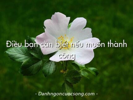 Điều bạn cần biết nếu muốn thành công