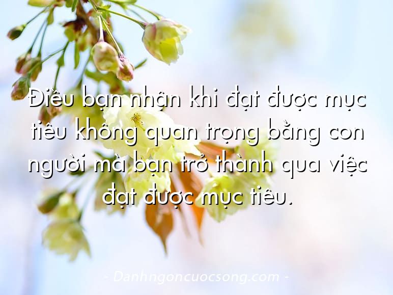 Điều bạn nhận khi đạt được mục tiêu không quan trọng bằng con người mà bạn trở thành qua việc đạt được mục tiêu.