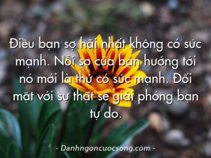 Điều bạn sợ hãi nhất không có sức mạnh. Nỗi sợ của bạn hướng tới nó mới là thứ có sức mạnh. Đối mặt với sự thật sẽ giải phóng bạn tự do.