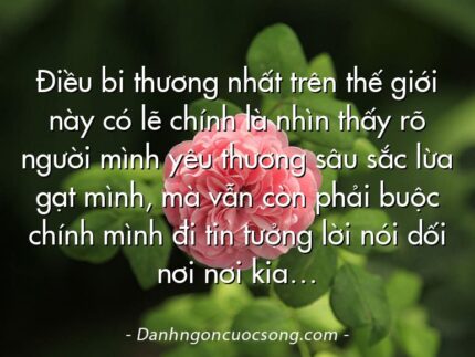 Điều bi thương nhất trên thế giới này có lẽ chính là nhìn thấy rõ người mình yêu thương sâu sắc lừa gạt mình, mà vẫn còn phải buộc chính mình đi tin tưởng lời nói dối nơi nơi kia…