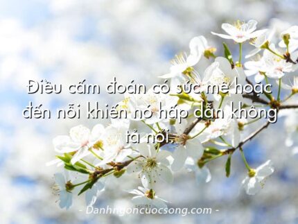 Điều cấm đoán có sức mê hoặc đến nỗi khiến nó hấp dẫn không tả nổi.