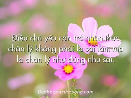 Điều chủ yếu cản trở nhận thức chân lý không phải là sai lầm mà là chân lý như đúng như sai.
