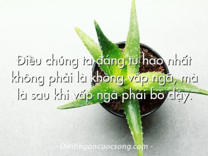 Điều chúng ta đáng tự hào nhất không phải là không vấp ngã, mà là sau khi vấp ngã phải bò dậy.