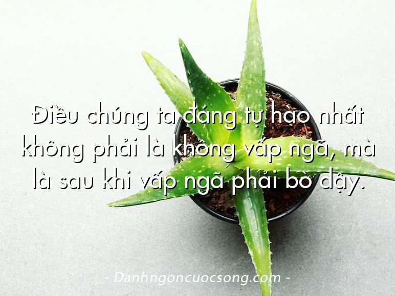 Điều chúng ta đáng tự hào nhất không phải là không vấp ngã, mà là sau khi vấp ngã phải bò dậy.