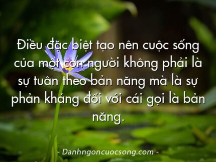 Điều đặc biệt tạo nên cuộc sống của một con người không phải là sự tuân theo bản năng mà là sự phản kháng đối với cái gọi là bản năng.