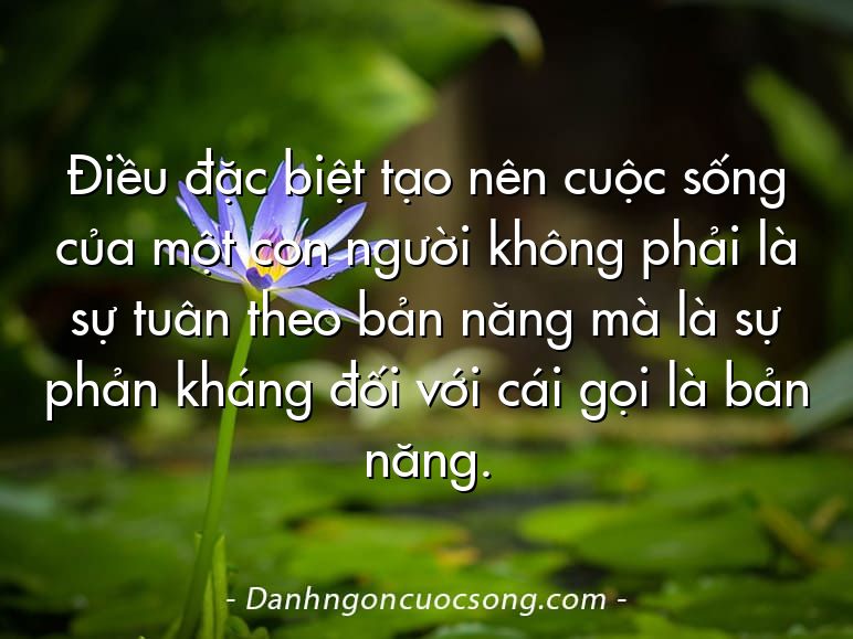 Điều đặc biệt tạo nên cuộc sống của một con người không phải là sự tuân theo bản năng mà là sự phản kháng đối với cái gọi là bản năng.
