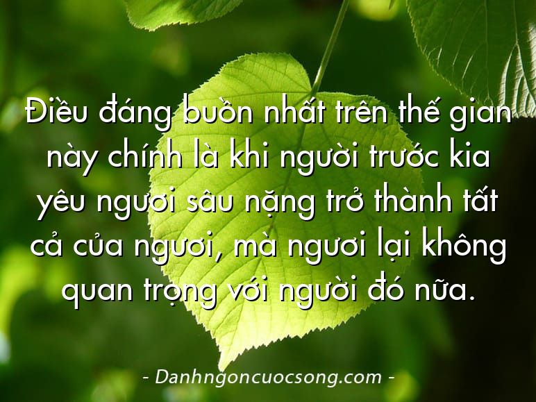 Điều đáng buồn nhất trên thế gian này chính là khi người trước kia yêu ngươi sâu nặng trở thành tất cả của ngươi, mà ngươi lại không quan trọng với người đó nữa.