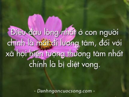 Điều đau lòng nhất ở con người chính là mất đi lương tâm, đối với xã hội hiện tượng thương tâm nhất chính là bị diệt vong.