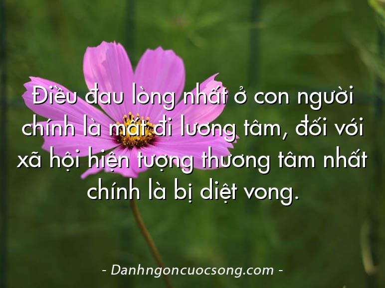 Điều đau lòng nhất ở con người chính là mất đi lương tâm, đối với xã hội hiện tượng thương tâm nhất chính là bị diệt vong.