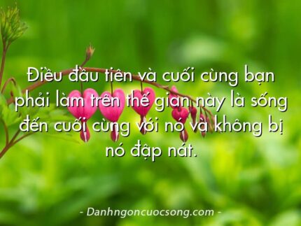 Điều đầu tiên và cuối cùng bạn phải làm trên thế gian này là sống đến cuối cùng với nó và không bị nó đập nát.