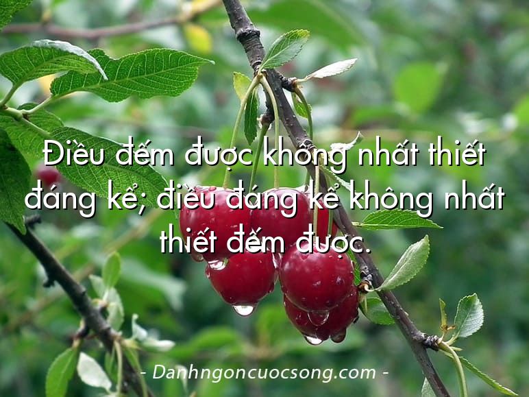 Điều đếm được không nhất thiết đáng kể; điều đáng kể không nhất thiết đếm được.