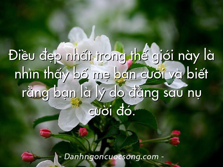 Điều đẹp nhất trong thế giới này là nhìn thấy bố mẹ bạn cười và biết rằng bạn là lý do đằng sau nụ cười đó.