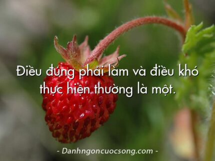 Điều đúng phải làm và điều khó thực hiện thường là một.
