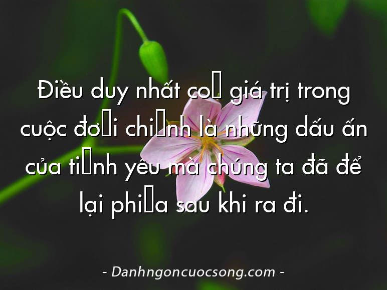 Điều duy nhất có giá trị trong cuộc đời chính là những dấu ấn của tình yêu mà chúng ta đã để lại phía sau khi ra đi.