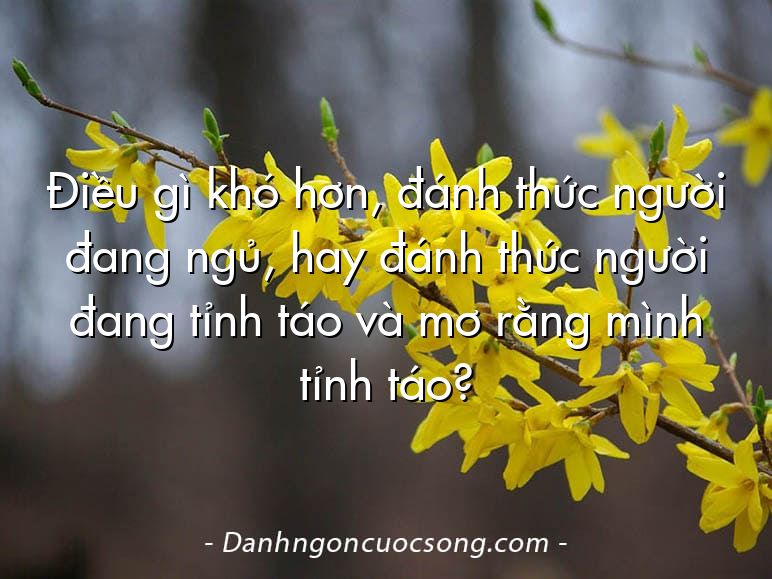 Điều gì khó hơn, đánh thức người đang ngủ, hay đánh thức người đang tỉnh táo và mơ rằng mình tỉnh táo?
