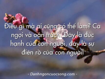 Điều gì mà ai cũng có thể làm? Ca ngợi và oán trách. Đây là đức hạnh của con người, đây là sự điên rồ của con ngườil