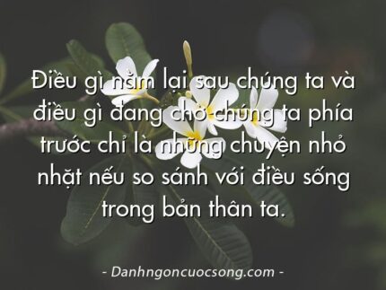 Điều gì nằm lại sau chúng ta và điều gì đang chờ chúng ta phía trước chỉ là những chuyện nhỏ nhặt nếu so sánh với điều sống trong bản thân ta.