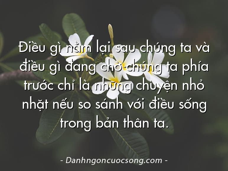 Điều gì nằm lại sau chúng ta và điều gì đang chờ chúng ta phía trước chỉ là những chuyện nhỏ nhặt nếu so sánh với điều sống trong bản thân ta.