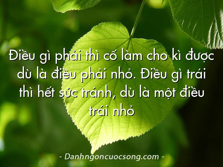 Điều gì phải thì cố làm cho kì được dù là điều phải nhỏ. Điều gì trái thì hết sức tránh, dù là một điều trái nhỏ