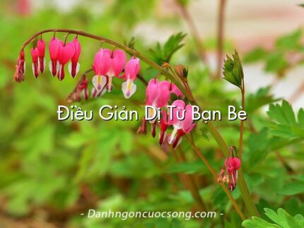 Điều Giản Dị Từ Bạn Bè