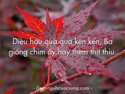 Diều hâu quà quạ kên kên, Ba giống chim ấy hay thèm thịt thiu.