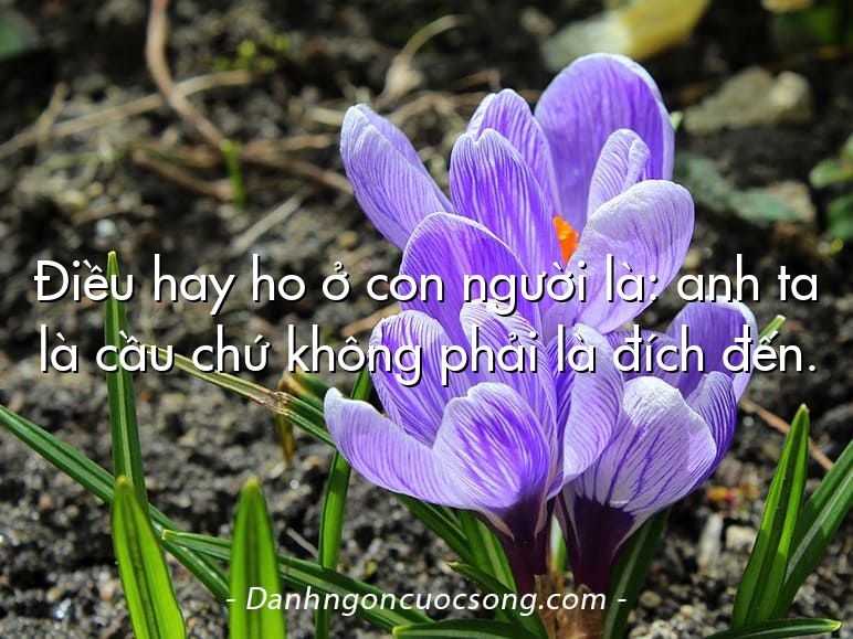 Điều hay ho ở con người là: anh ta là cầu chứ không phải là đích đến.