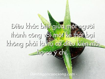 Điều khác biệt giữa một người thành công với một kẻ thất bại không phải là họ có điều kiện mà họ có ý chí.