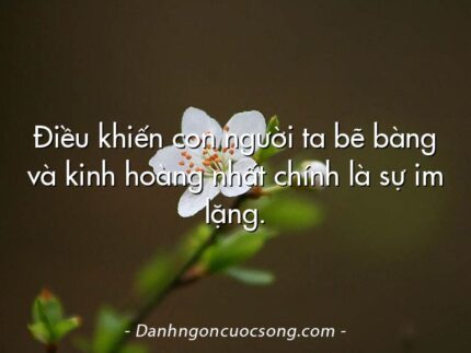Điều khiến con người ta bẽ bàng và kinh hoàng nhất chính là sự im lặng.
