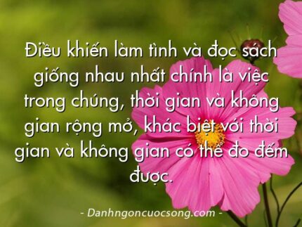 Điều khiến làm tình và đọc sách giống nhau nhất chính là việc trong chúng, thời gian và không gian rộng mở, khác biệt với thời gian và không gian có thể đo đếm được.