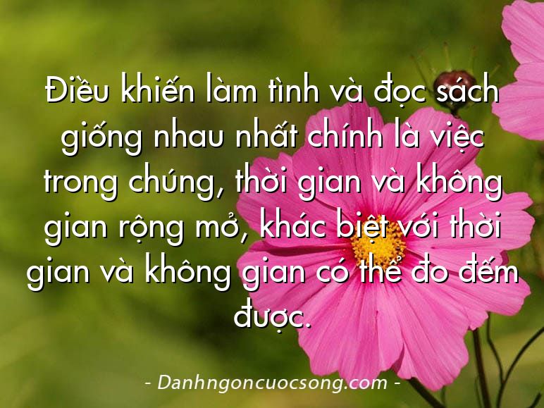 Điều khiến làm tình và đọc sách giống nhau nhất chính là việc trong chúng, thời gian và không gian rộng mở, khác biệt với thời gian và không gian có thể đo đếm được.