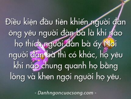 Điều kiện đầu tiên khiến người đàn ông yêu người đàn bà là khi nào họ thích người đàn bà ấỵ Nơi người đàn bà thì có khác, họ yêu khi nào chung quanh họ bằng lòng và khen ngợi người họ yêu.