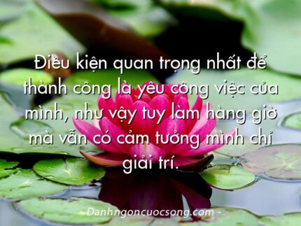 Điều kiện quan trọng nhất để thành công là yêu công việc của mình, như vậy tuy làm hàng giờ mà vẫn có cảm tưởng mình chỉ giải trí.