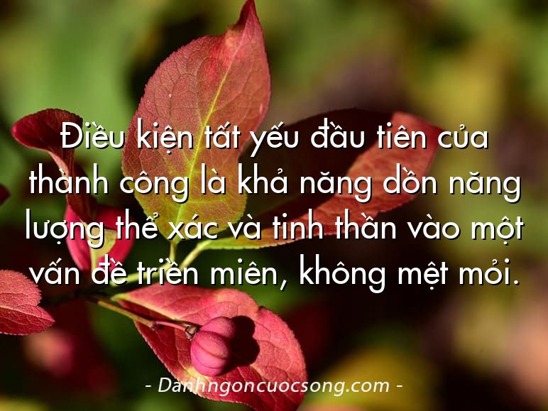Điều kiện tất yếu đầu tiên của thành công là khả năng dồn năng lượng thể xác và tinh thần vào một vấn đề triền miên, không mệt mỏi.