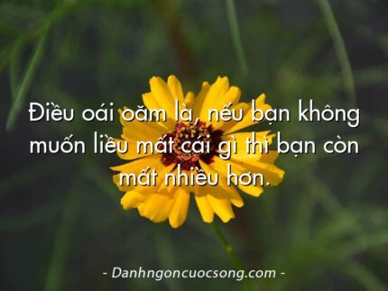 Điều oái oăm là, nếu bạn không muốn liều mất cái gì thì bạn còn mất nhiều hơn.