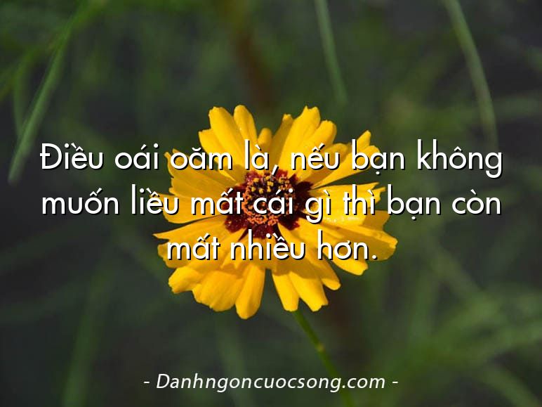 Điều oái oăm là, nếu bạn không muốn liều mất cái gì thì bạn còn mất nhiều hơn.