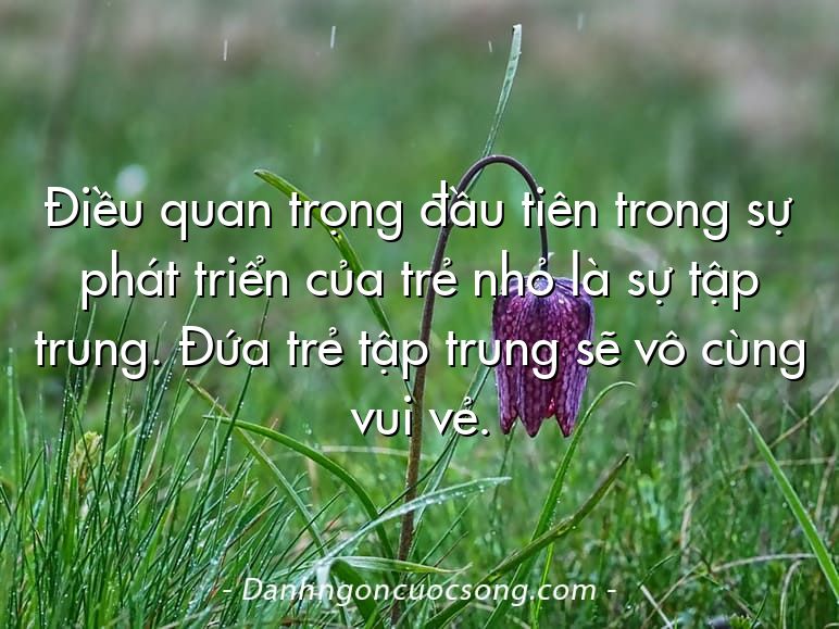 Điều quan trọng đầu tiên trong sự phát triển của trẻ nhỏ là sự tập trung. Đứa trẻ tập trung sẽ vô cùng vui vẻ.