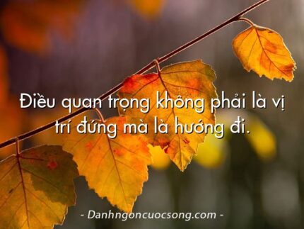 Điều quan trọng không phải là vị trí đứng mà là hướng đi.