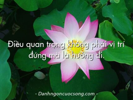 Điều quan trọng không phải vị trí đứng mà là hướng đi.