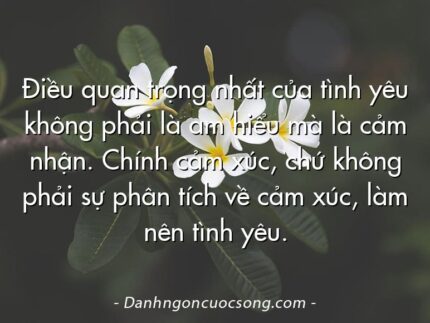 Điều quan trọng nhất của tình yêu không phải là am hiểu mà là cảm nhận. Chính cảm xúc, chứ không phải sự phân tích về cảm xúc, làm nên tình yêu.