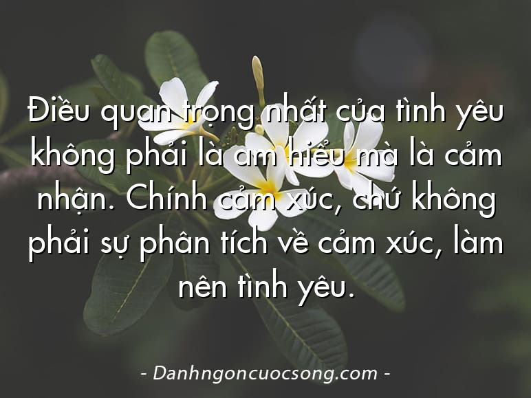 Điều quan trọng nhất của tình yêu không phải là am hiểu mà là cảm nhận. Chính cảm xúc, chứ không phải sự phân tích về cảm xúc, làm nên tình yêu.