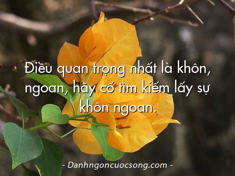 Điều quan trọng nhất là khôn, ngoan, hãy cố tìm kiếm lấy sự khôn ngoan.