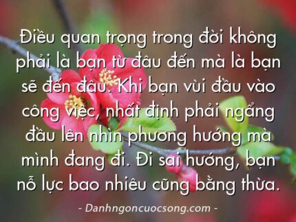 Điều quan trọng trong đời không phải là bạn từ đâu đến mà là bạn sẽ đến đâu. Khi bạn vùi đầu vào công việc, nhất định phải ngẩng đầu lên nhìn phương hướng mà mình đang đi. Đi sai hướng, bạn nỗ lực bao nhiêu cũng bằng thừa.