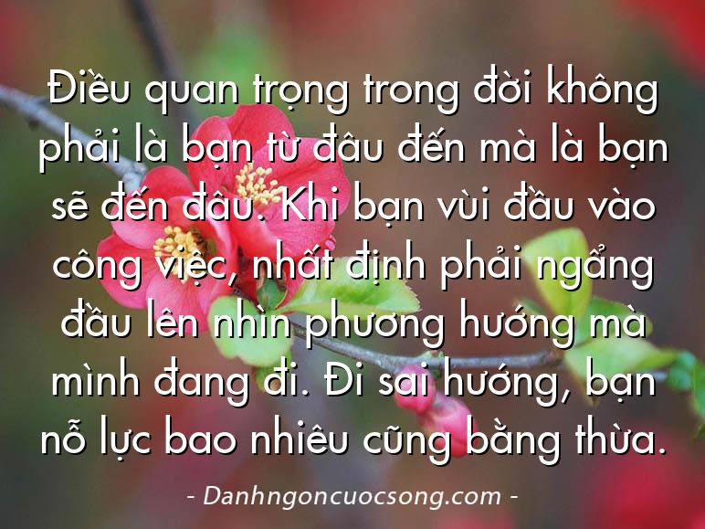 Điều quan trọng trong đời không phải là bạn từ đâu đến mà là bạn sẽ đến đâu. Khi bạn vùi đầu vào công việc, nhất định phải ngẩng đầu lên nhìn phương hướng mà mình đang đi. Đi sai hướng, bạn nỗ lực bao nhiêu cũng bằng thừa.