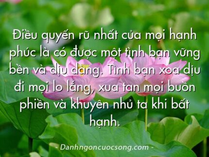 Ðiều quyến rũ nhất của mọi hạnh phúc là có được một tình bạn vững bền và dịu dàng. Tình bạn xoa dịu đi mọi lo lắng, xua tan mọi buồn phiền và khuyên nhủ ta khi bất hạnh.
