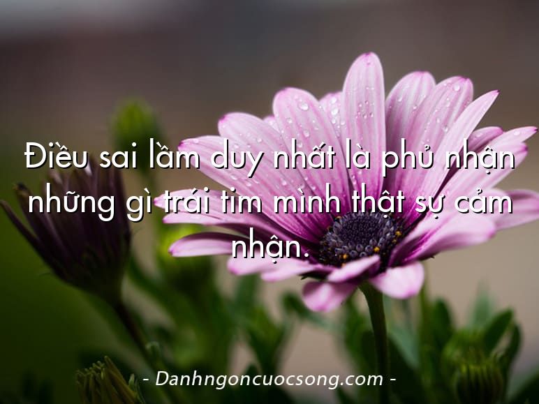 Ðiều sai lầm duy nhất là phủ nhận những gì trái tim mình thật sự cảm nhận.