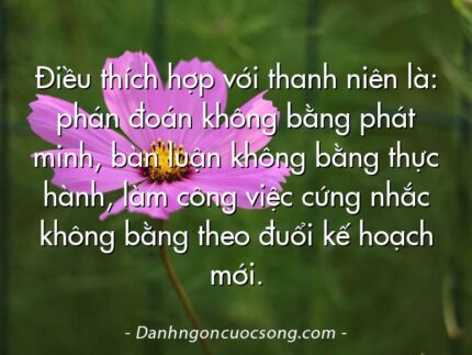 Điều thích hợp với thanh niên là: phán đoán không bằng phát minh, bàn luận không bằng thực hành, làm công việc cứng nhắc không bằng theo đuổi kế hoạch mới.