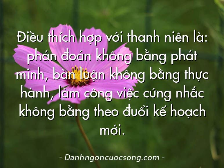 Điều thích hợp với thanh niên là: phán đoán không bằng phát minh, bàn luận không bằng thực hành, làm công việc cứng nhắc không bằng theo đuổi kế hoạch mới.