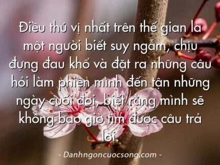 Điều thú vị nhất trên thế gian là một người biết suy ngẫm, chịu đựng đau khổ và đặt ra những câu hỏi làm phiền mình đến tận những ngày cuối đời, biết rằng mình sẽ không bao giờ tìm được câu trả lời.