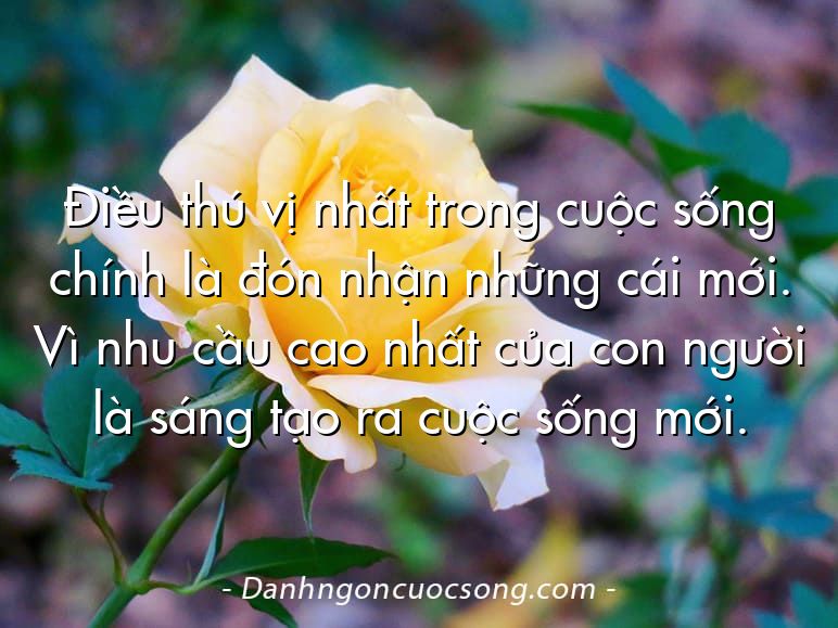 Điều thú vị nhất trong cuộc sống chính là đón nhận những cái mới. Vì nhu cầu cao nhất của con người là sáng tạo ra cuộc sống mới.